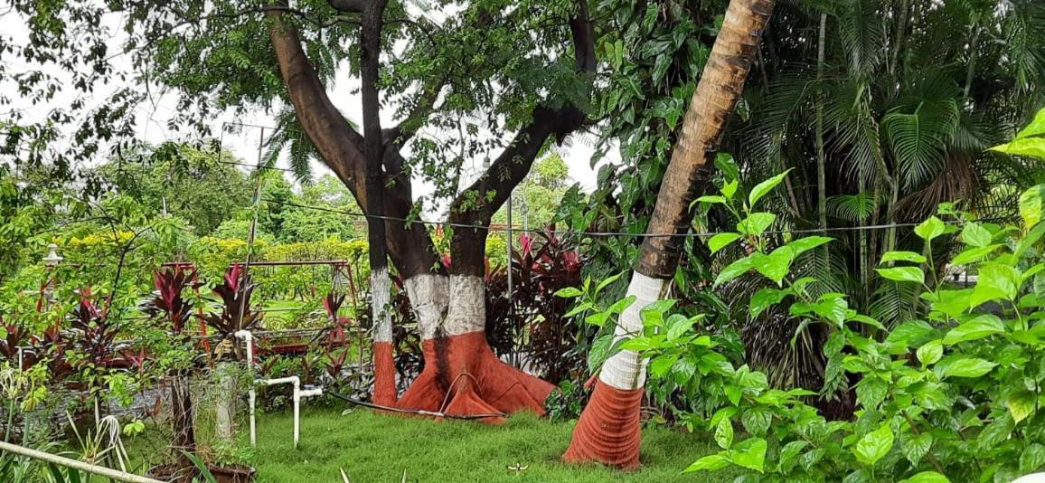 Prajakta Rest House Alibag Luaran gambar